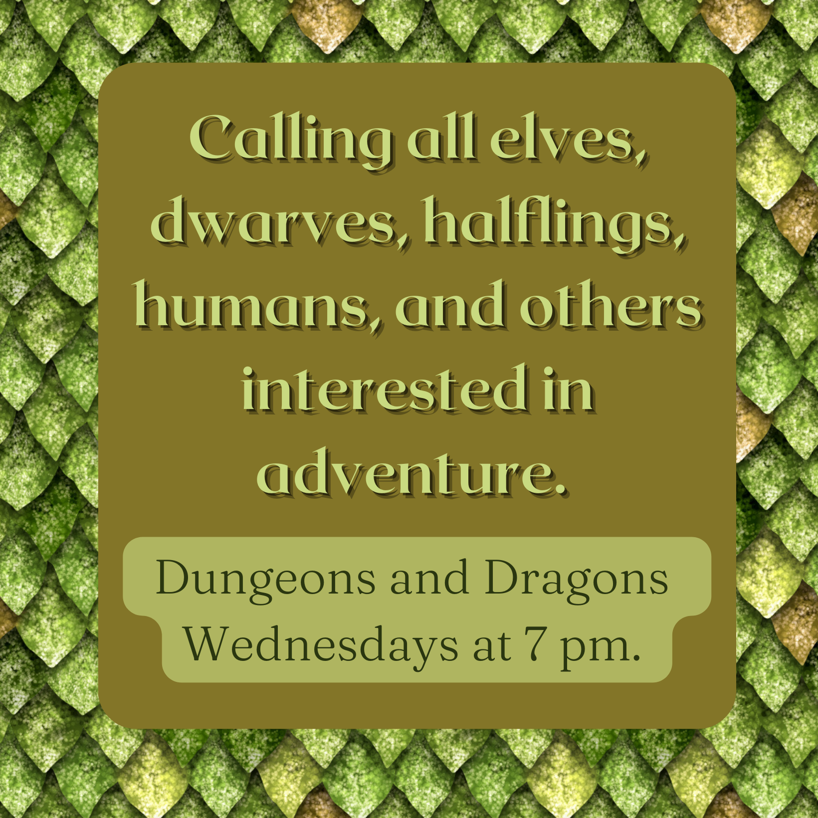 The Dungeons and Dragons Campaign